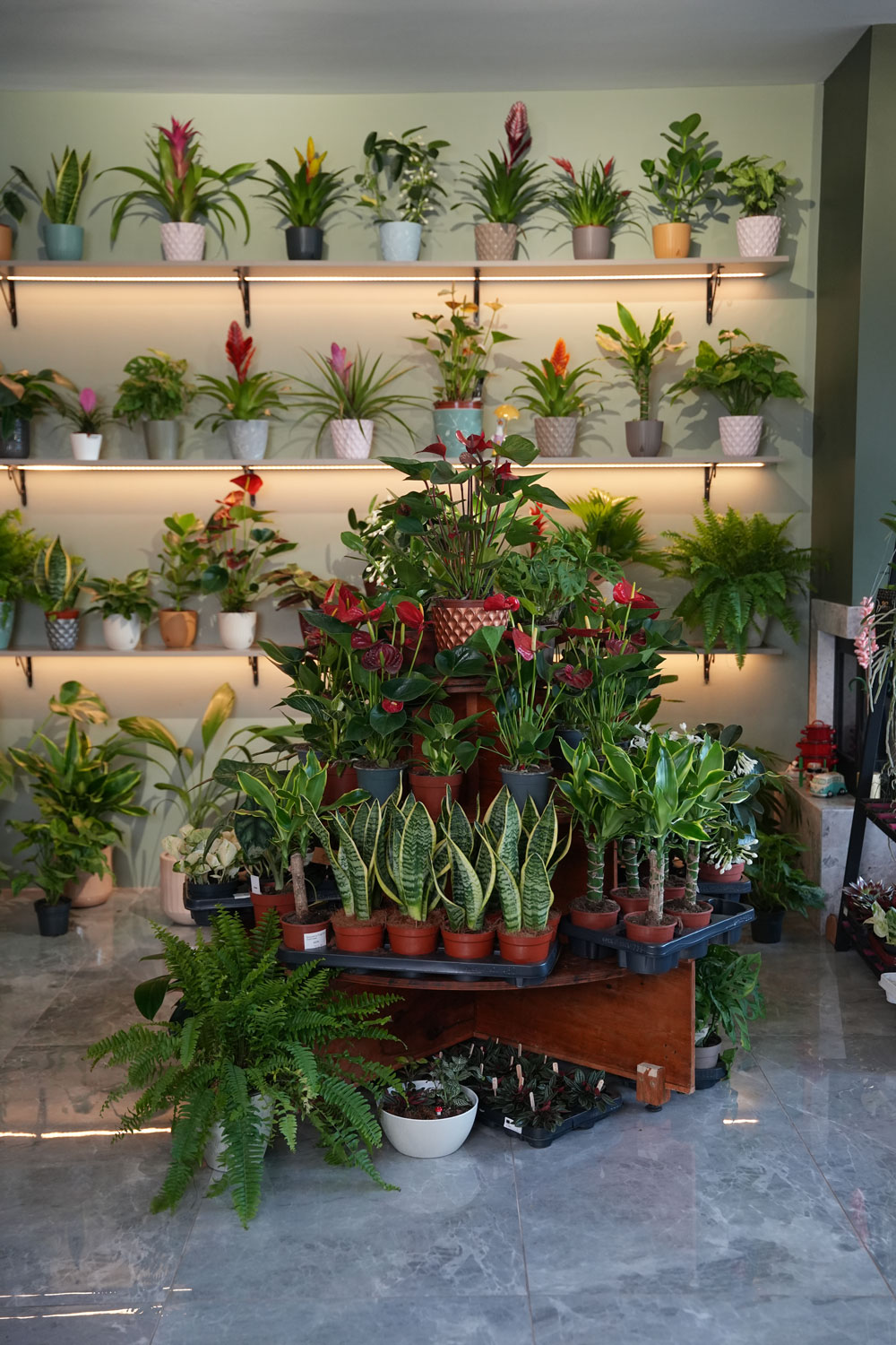 Ofis ve Ticari Alanlar İçin Çiçek Tasarımı Neden Önemlidir?