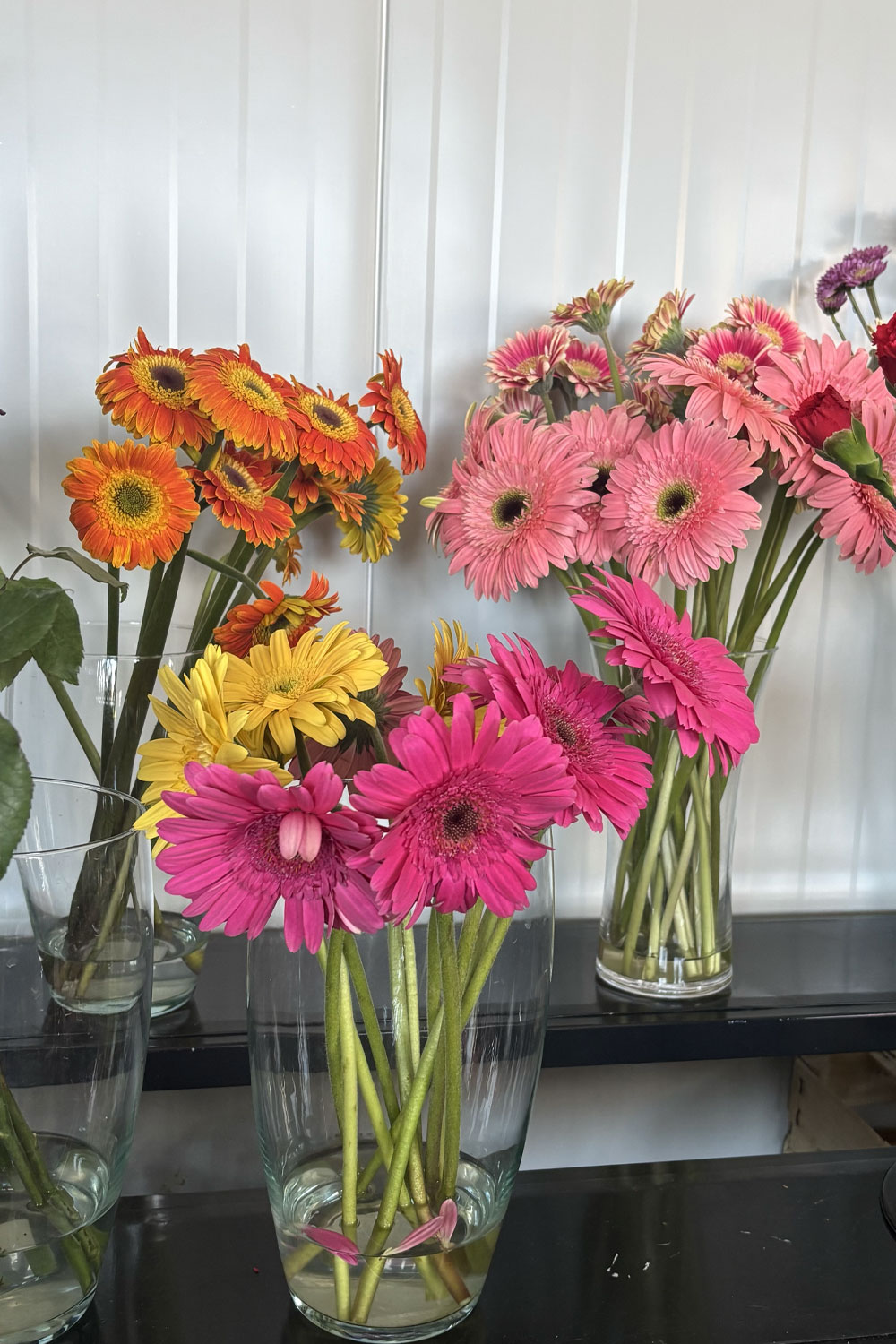 Kesme Çiçeklerin Ömrü Nasıl Uzatılır?